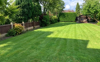 Save With Regular Garden Maintenance Packages in Widnes