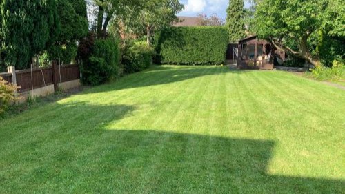 garden maintenance