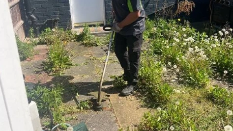 weed control